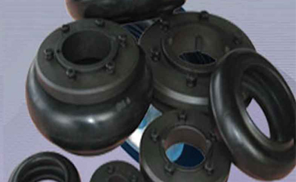 Fenner Coupling Manufacturer